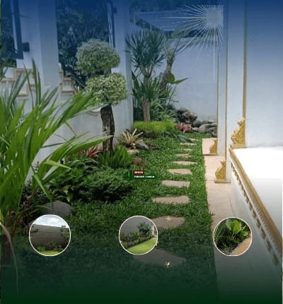 About Jogja Tukang Taman-2