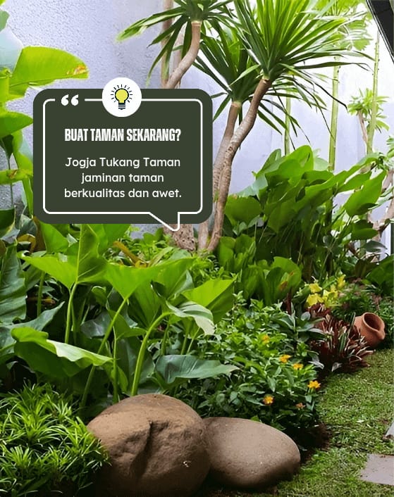 About Jogja Tukang Taman-4