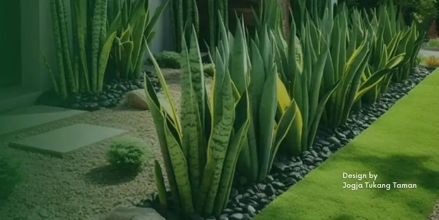 Lebih Jauh Dekorasi Taman Kering dan Kompenen Pendukungnya 3 Dekorasi Taman Kering 2